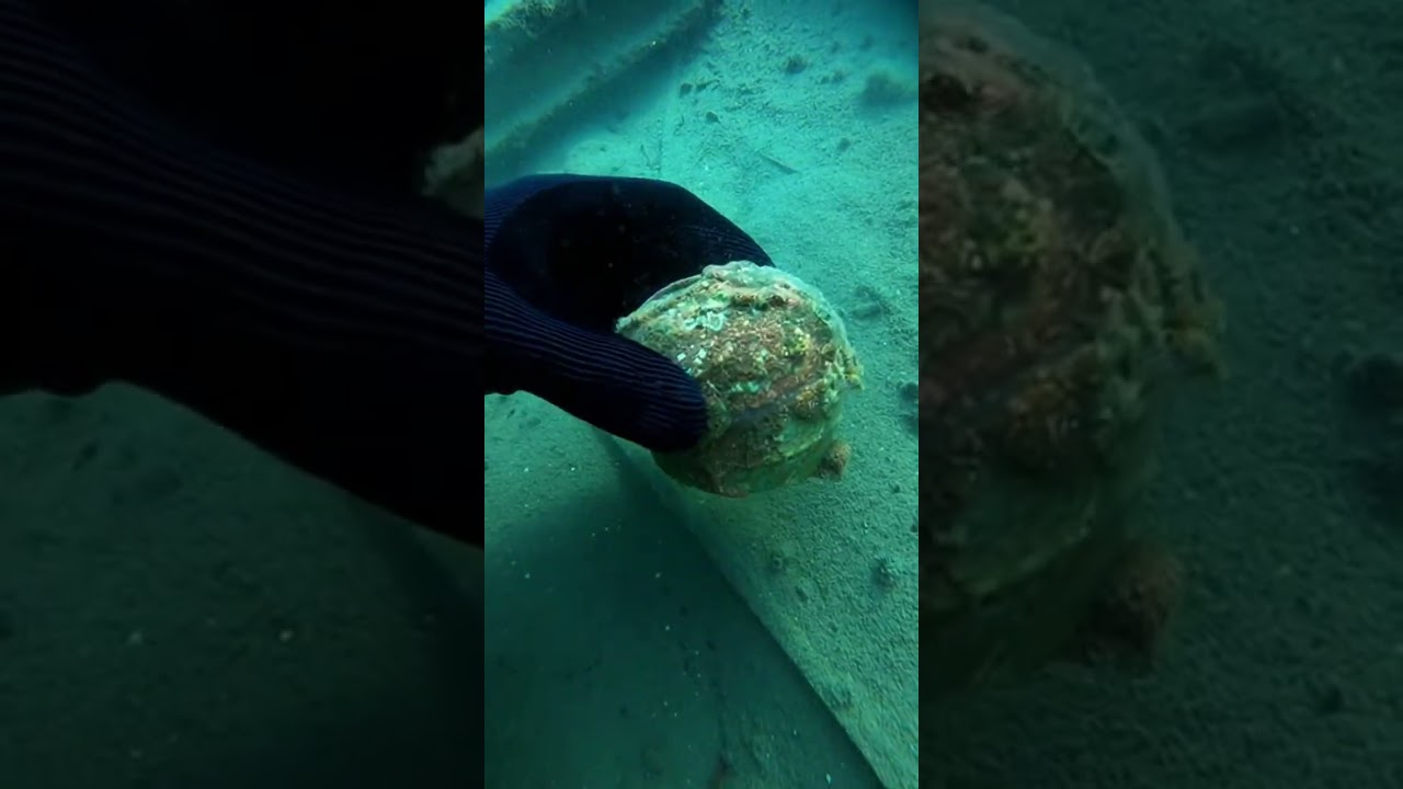 An Ancient Object Hidden Underwater…  POV Exploration 