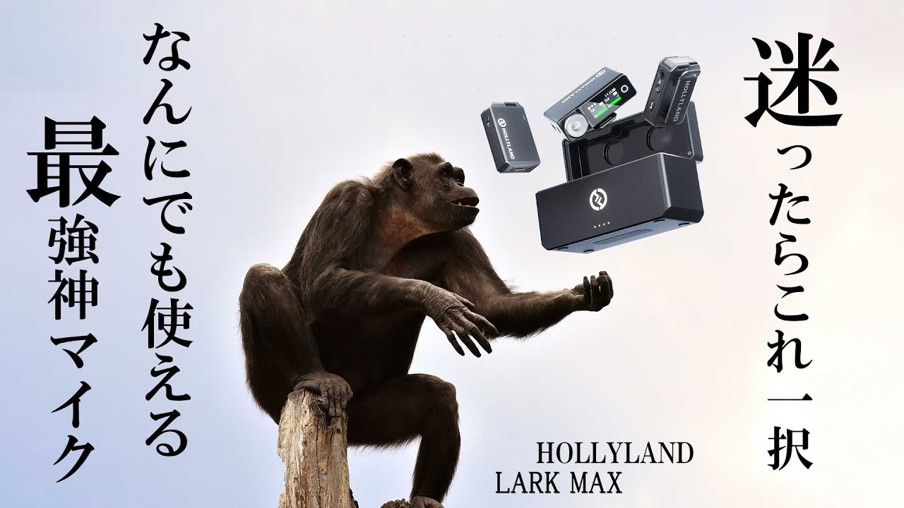 [迷ったらこれ] 配信や充電しながらも使える現在最強神ワイヤレスマイク LARK MAX [HOLLYLAND]