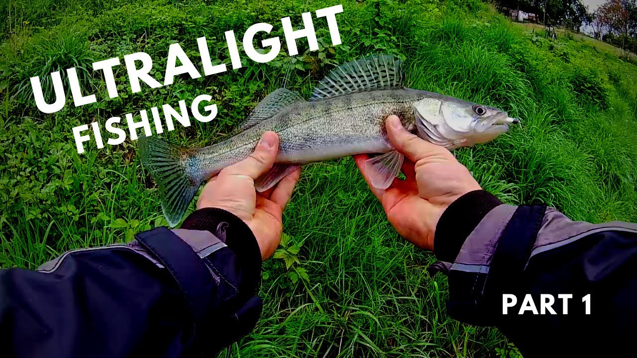Ribolov smuđa i grgeča na varalicu - Fishing for zander and perch