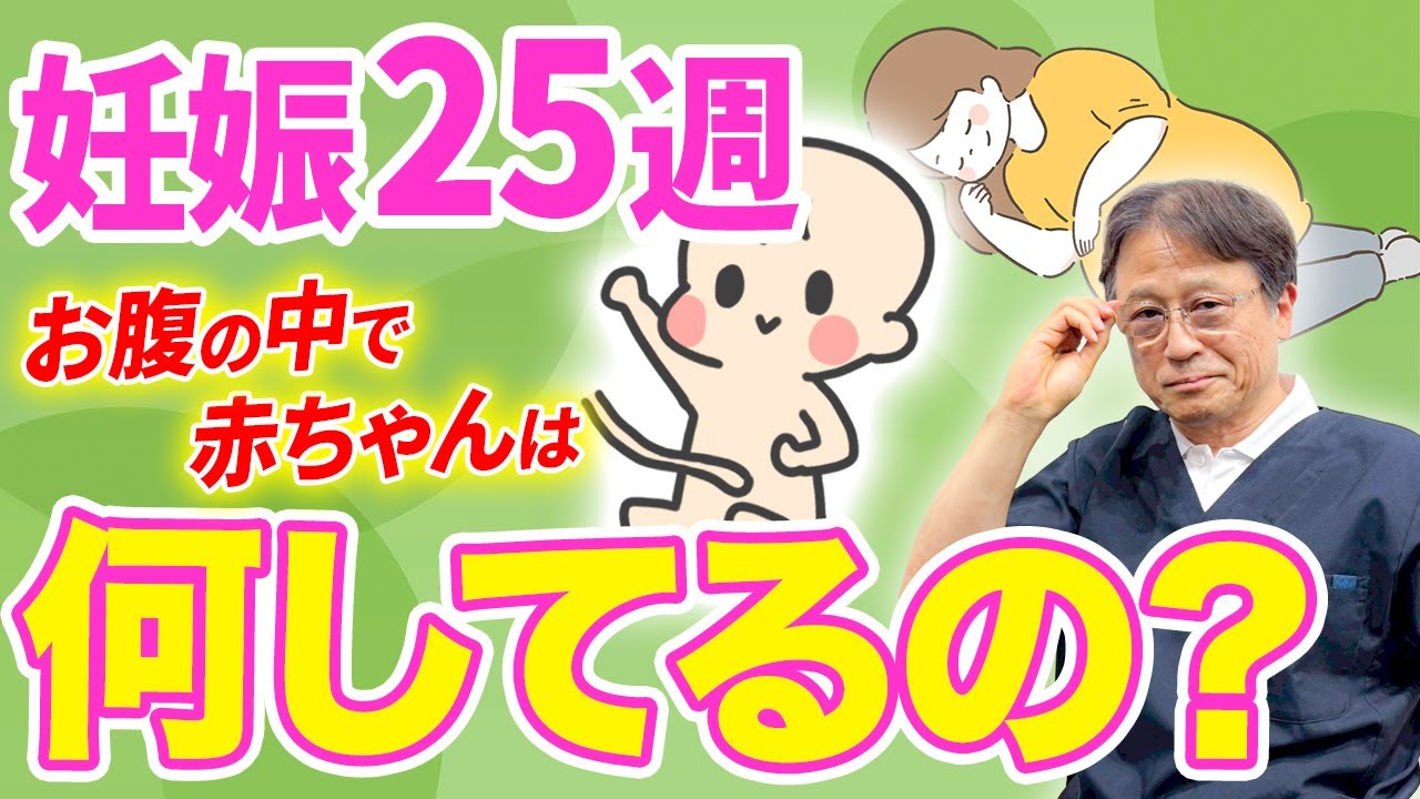 「お腹の中で赤ちゃんは何してるの？」妊娠25週の胎児の様子と妊婦さんの注意点