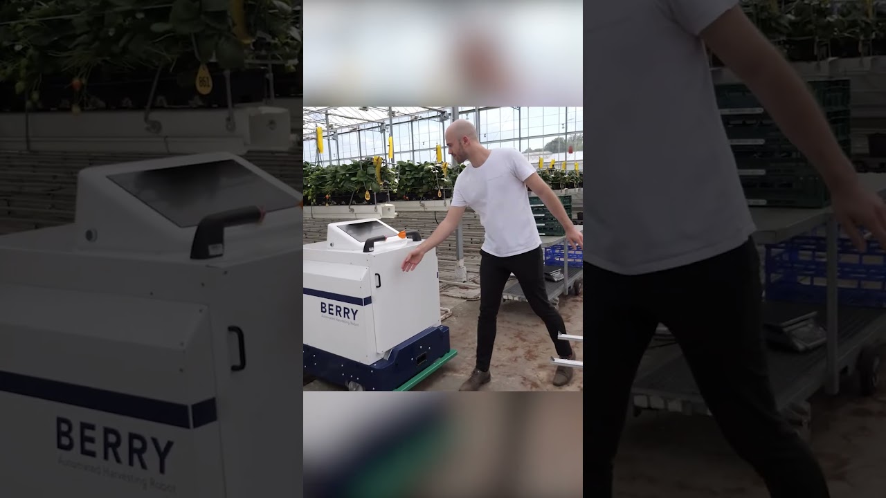 Este robot puede recoger fruta