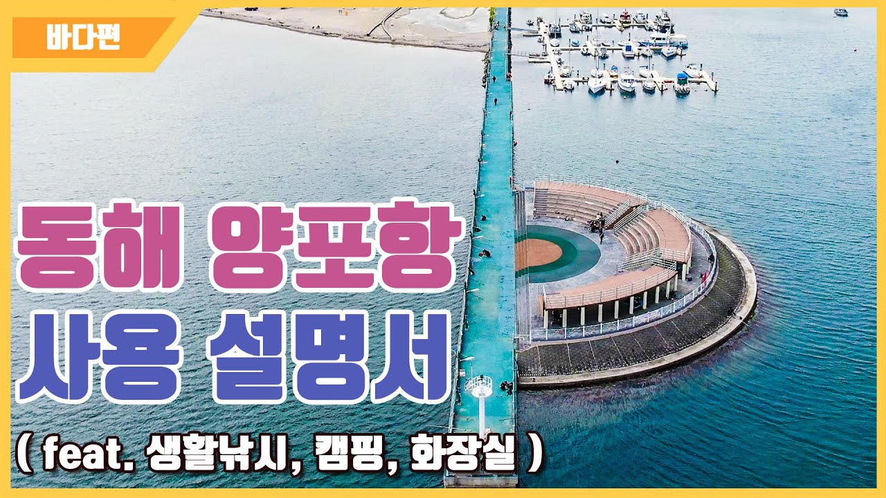 [다리tv] 포항권 생활낚시 최고 포인트 양포항!!! 모든 포인트 ☆ 여행! 캠핑! 낚시! 포인트 ☆ (South Korean Port Drone Video!!!)
