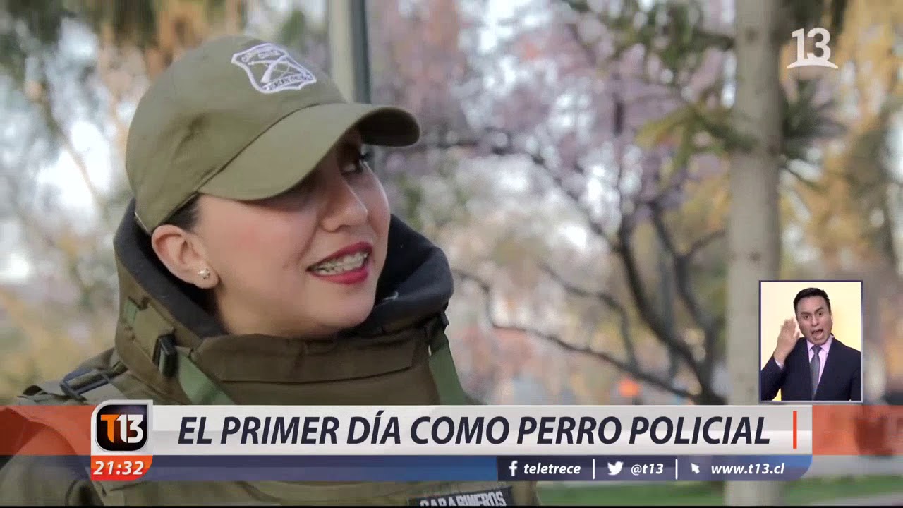 El primer día como perro policial