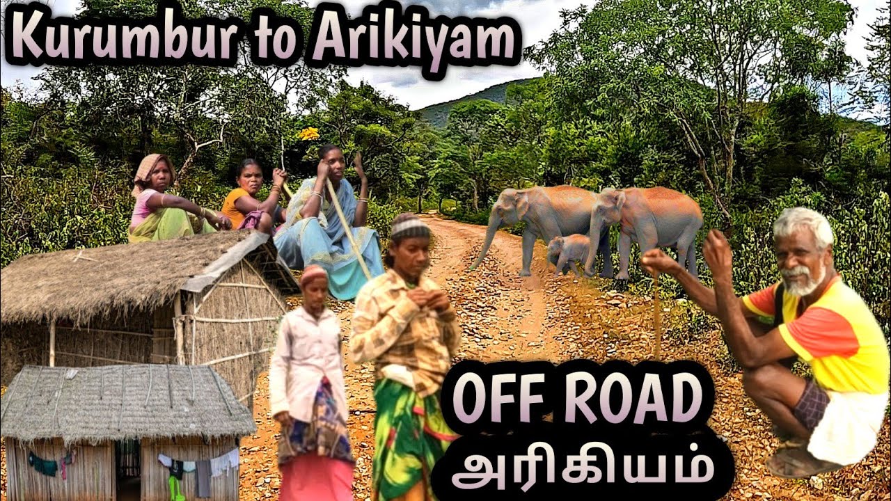 அடர்ந்த காட்டில் 400 குடும்பங்கள் வாழும் கிராமம் Kurumbur to Arikiyam Kadambur Hills Sathyamangalam 