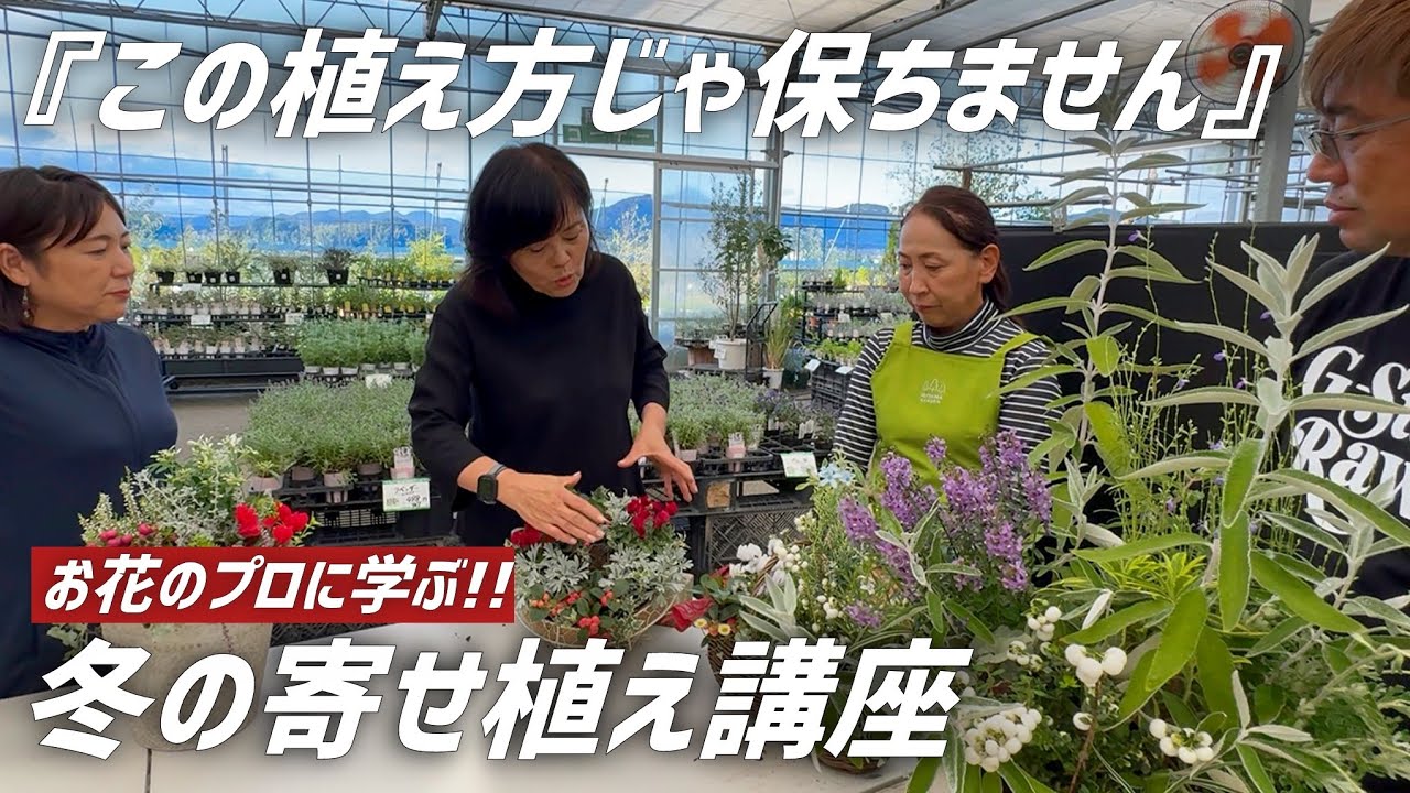 お花の先生に