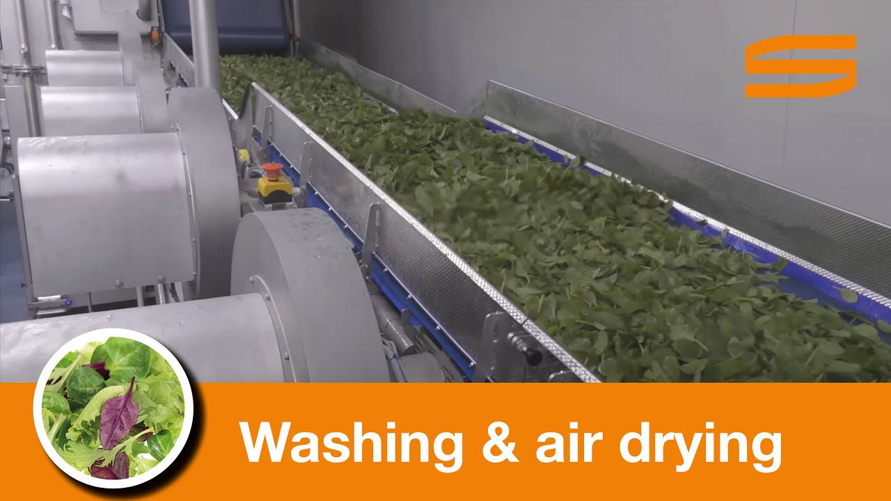 Spinach washing and air drying line - Sormac