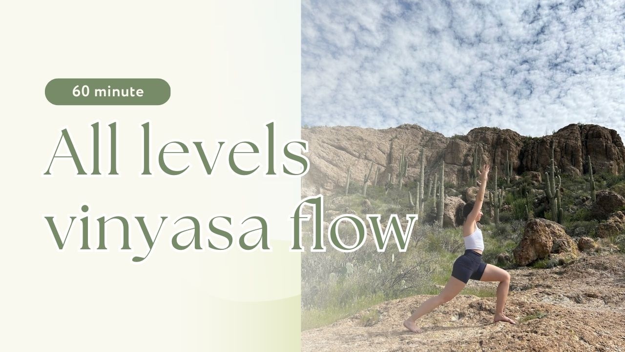 All Levels Vinyasa Flow