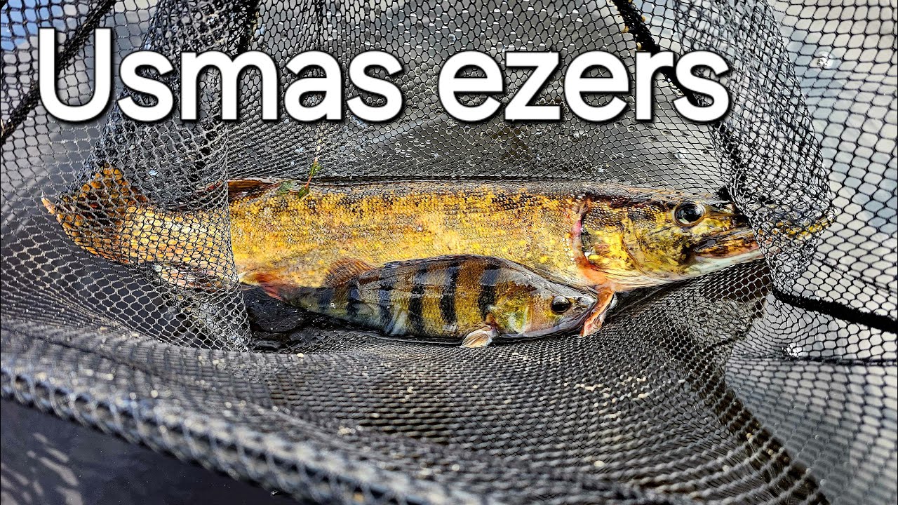 Usmas ezers, Bugdangu, Grāveru, Dižāpas krasts. Spinings.
