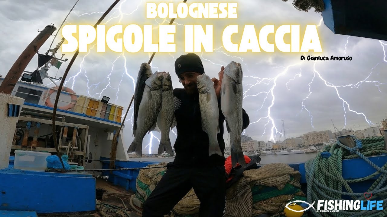 ALBA DI FUOCO! Spigole in caccia col gamberetto vivo 🌅🎣 | Bolognese da urlo prima del maltempo