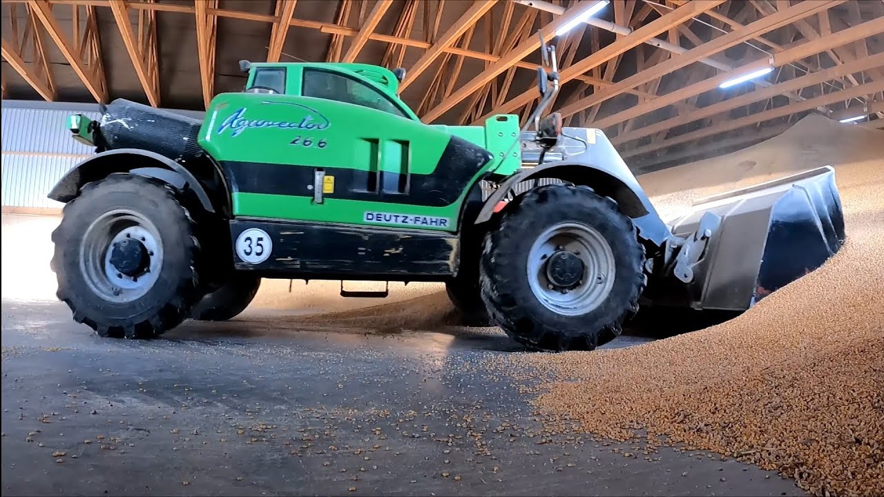 Coraz gorsza sytuacja trzody chlewnej | Załadunek kukurydzy