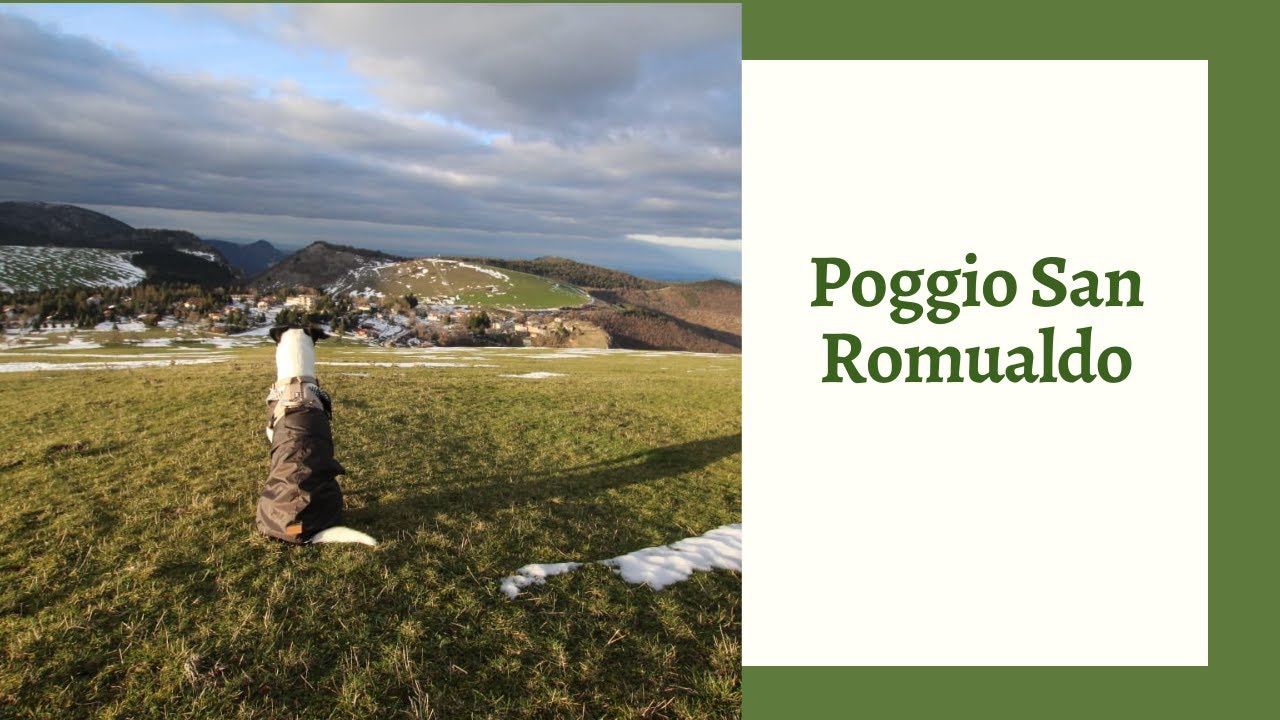 POGGIO SAN ROMUALDO
