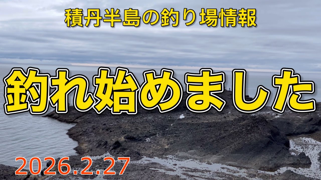 釣れ始めました【積丹半島の釣り場情報　2026.2.27】