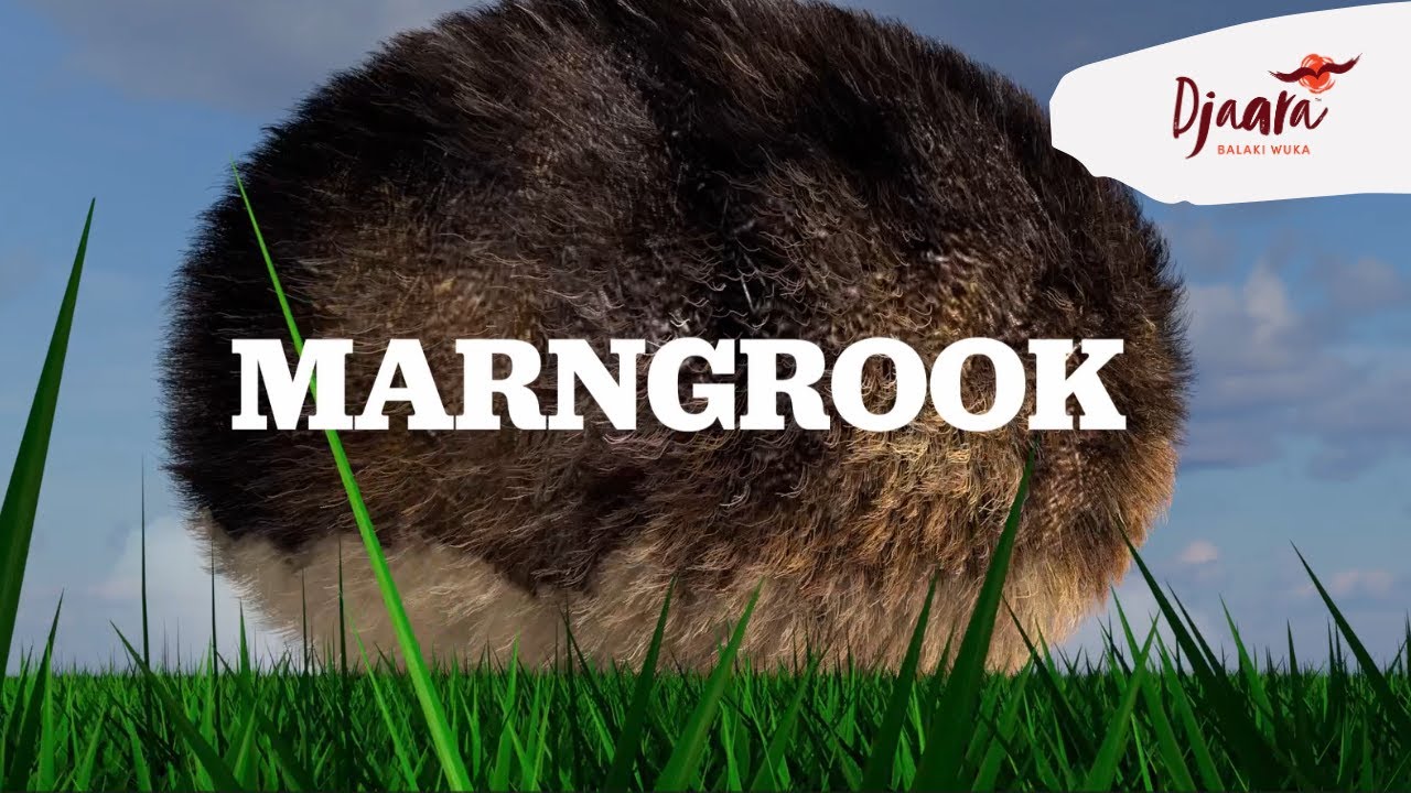 Marngrook - the Traditional game of Aussie Rules Football