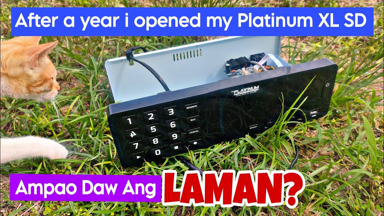 PLATINUM XL SD PIANO WHAT's INSIDE  @59diy8