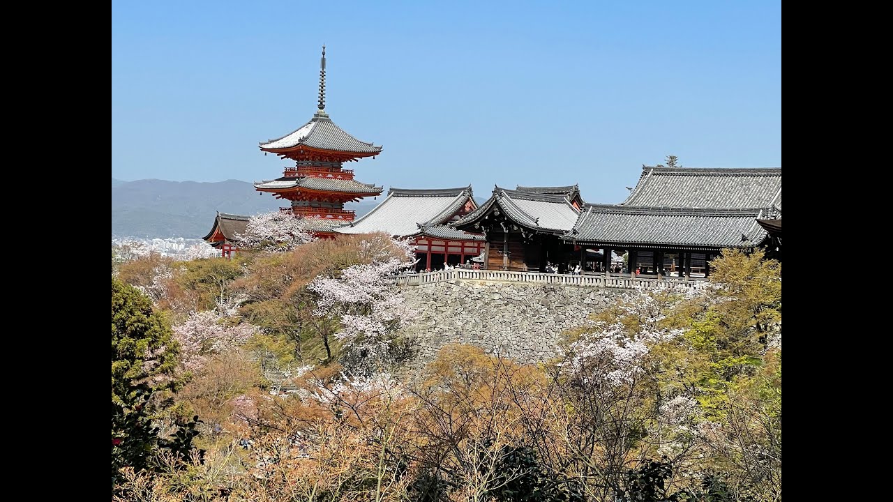 Visiting Kiyomizu-Dera: a UNESCO World Heritage Site, And Kyoto's Other Sakura-Viewing Spots!