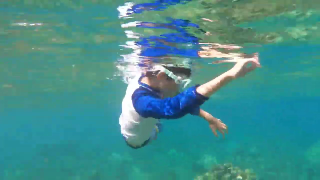 Snorkeling: Maui Westin Nanea Ocean Villas