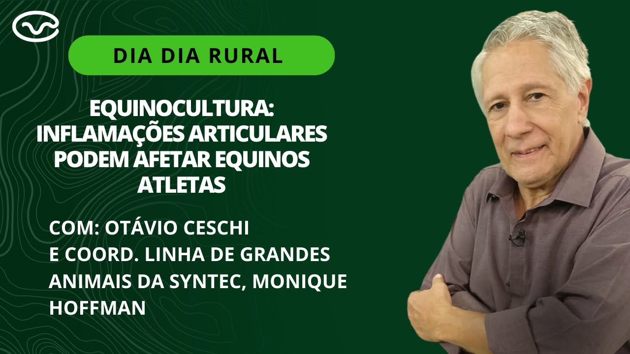 Equinocultura: inflama&ccedil;&otilde;es articulares podem afetar equinos atletas