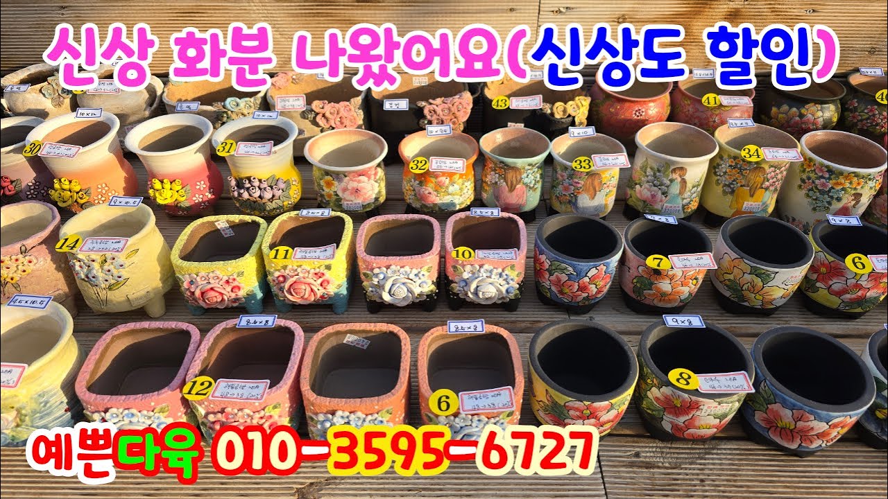 251222📍#예쁜다육 꽃향기분 토마루분 해밀분 누누분 읍내분 수목분 돌담분 해령분 본토분 언분 길분 고미분 일사분 흙고집분 아라토기