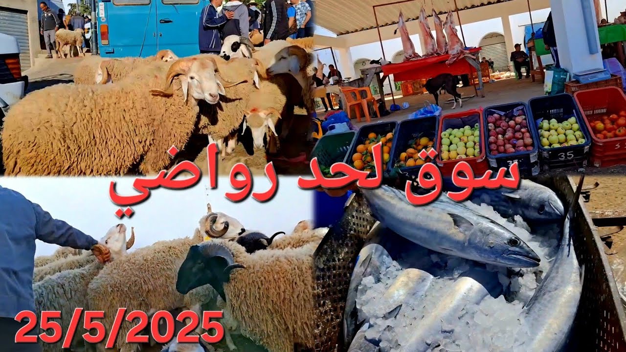 جولة في سوق الأسبوعي لحد رواضي. 🐑 🐏 🍅 🍏 25/5/2025 Rouadi