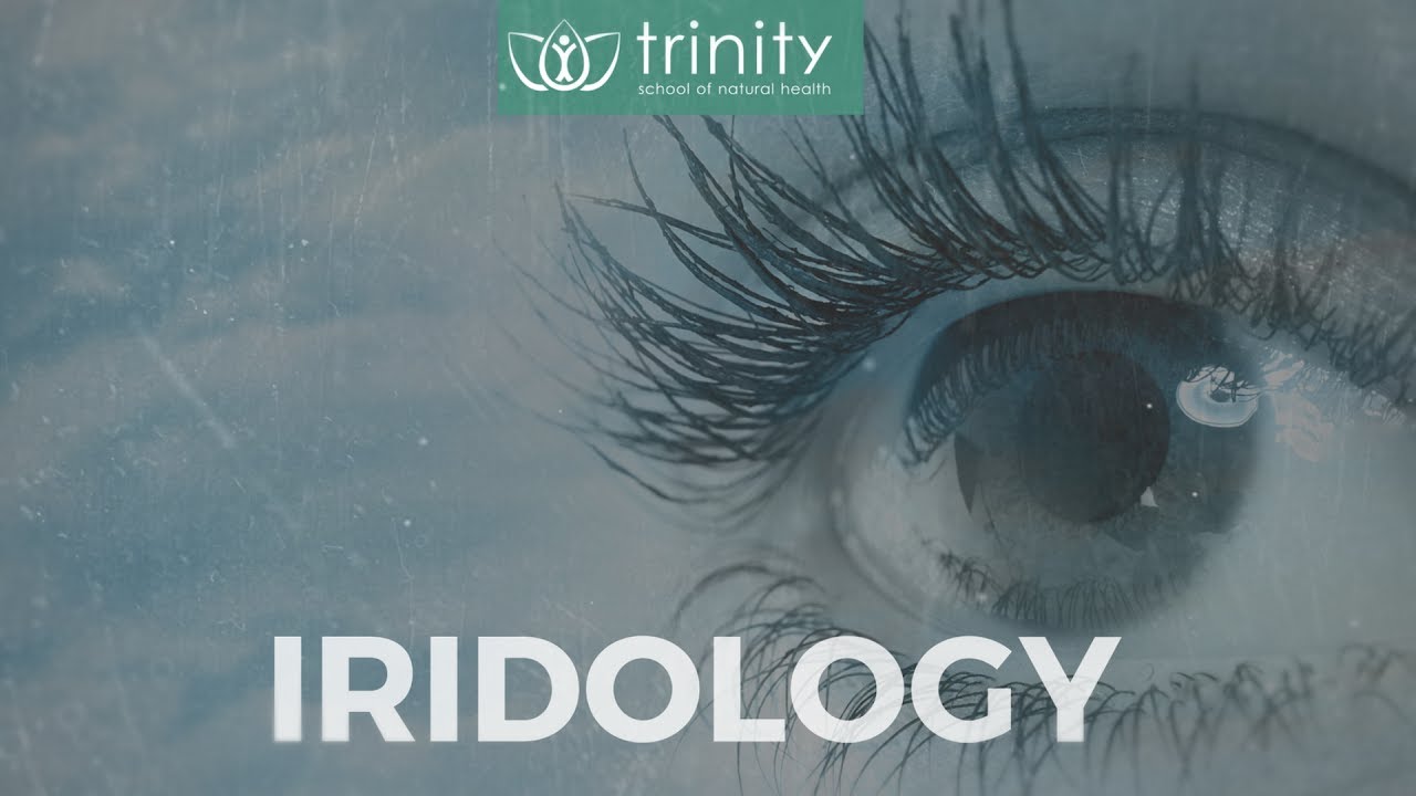 Iridology - What Our Students Say