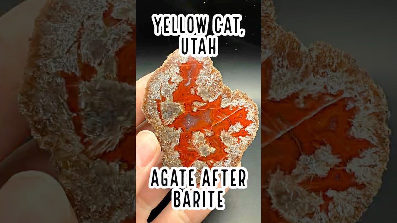 Agate after Barite Pseudomorphs from Yellow Cat, Utah #agate #rockhounding #yellowcat #utah