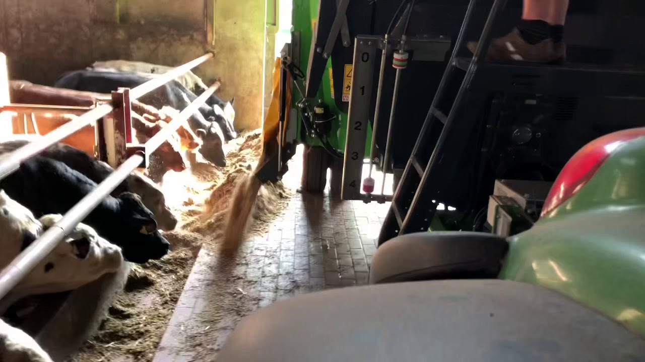 Tatoma Mv 24 distribution