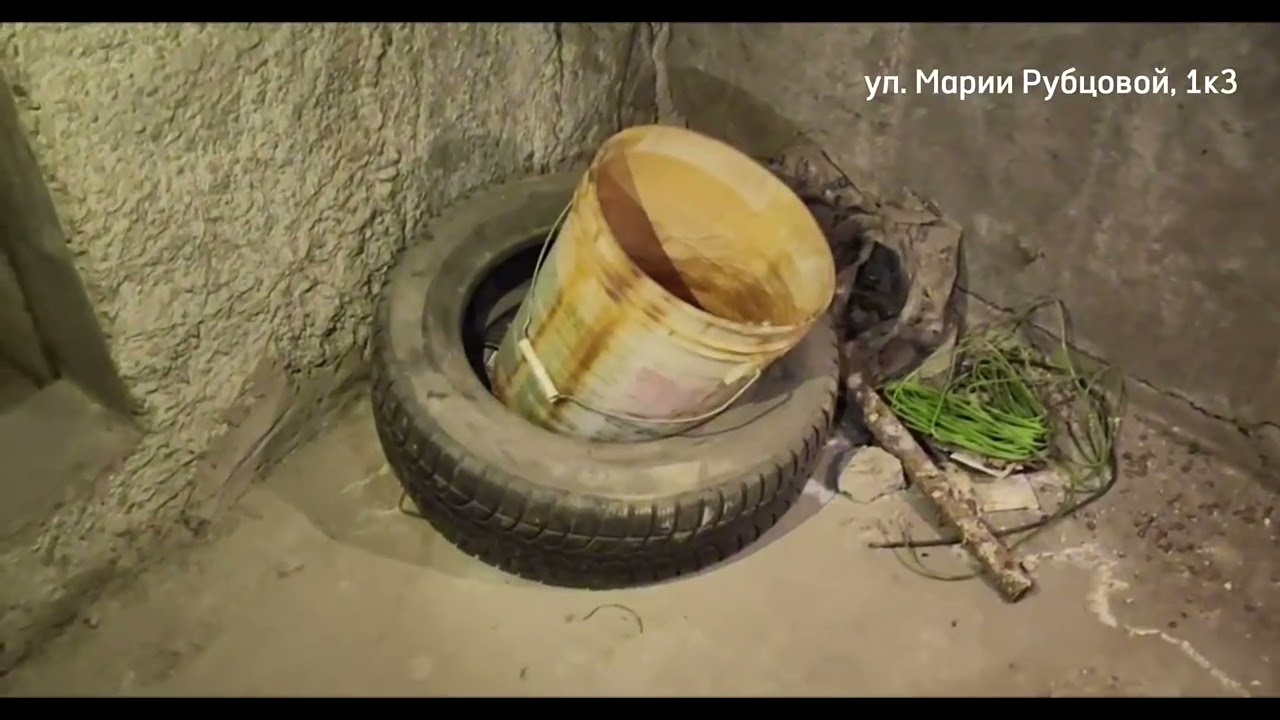 24.06.2025 :: Осмотр чердаков дома ул. Марии Рубцовой, 1 в Химках (короткая версия)
