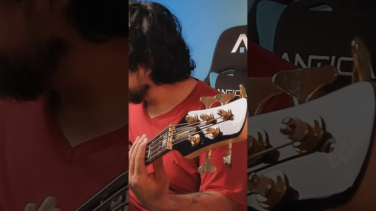 Sonando el nuevo NS ICON Bolt-on! Usen aud&iacute;fonos   #spectorbass #bassplayer #bajista #nsicon
