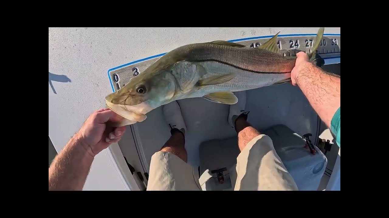 Inshore Slam # Mosquito Lagoon