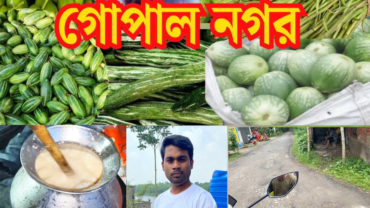 😱👌🏻Gopal Nagar Sobjir Haat |Wholesale vegetable market Kolkata