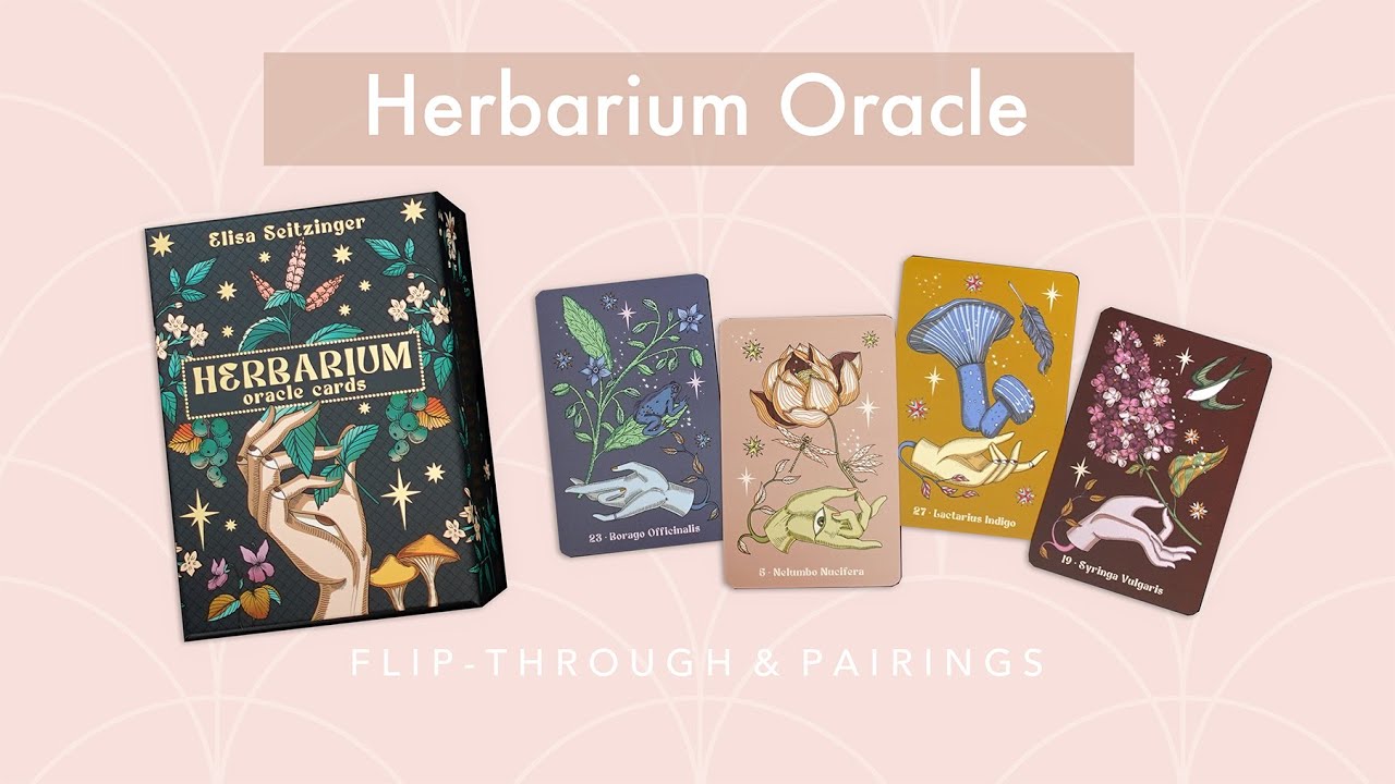 Herbarium Oracle Cards ☾ No-voice Flip-through & Pairing Ideas 🌿♥︎