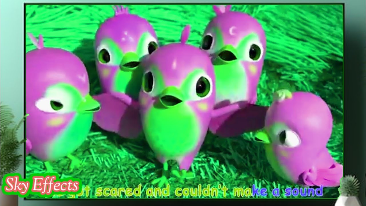 THE FIRST LITTLE BIRD LOOKED UP AT THE GROUND &GET SCARED/EFFECTS COMPILATION SPONSORE BYGAMAVISION 
