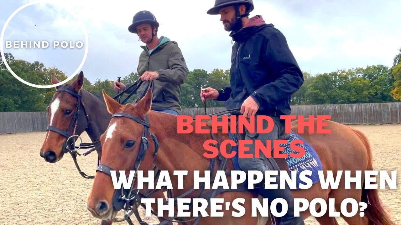 What Happens When There's No Polo? #polo #horsetraining
