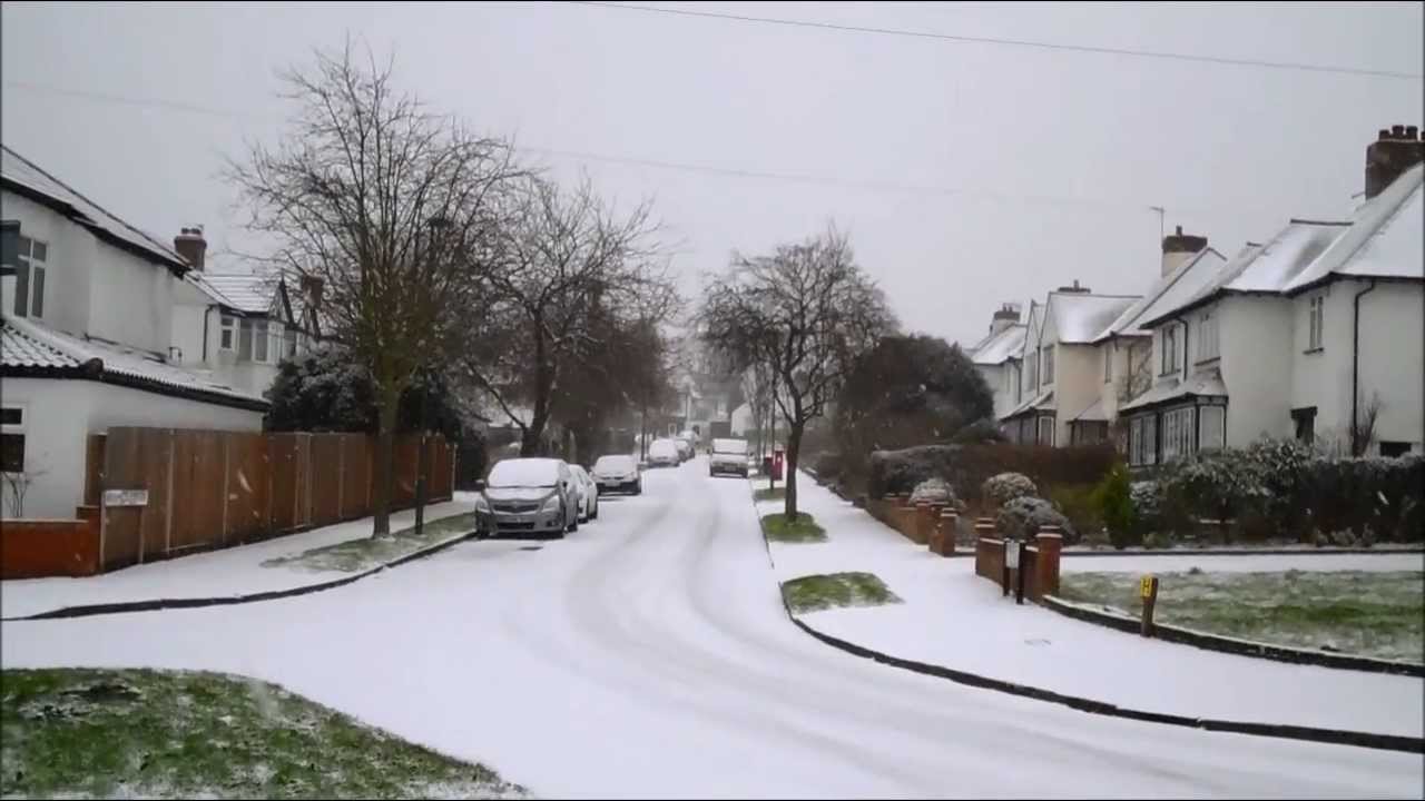 Carshalton Beeches In The Snow