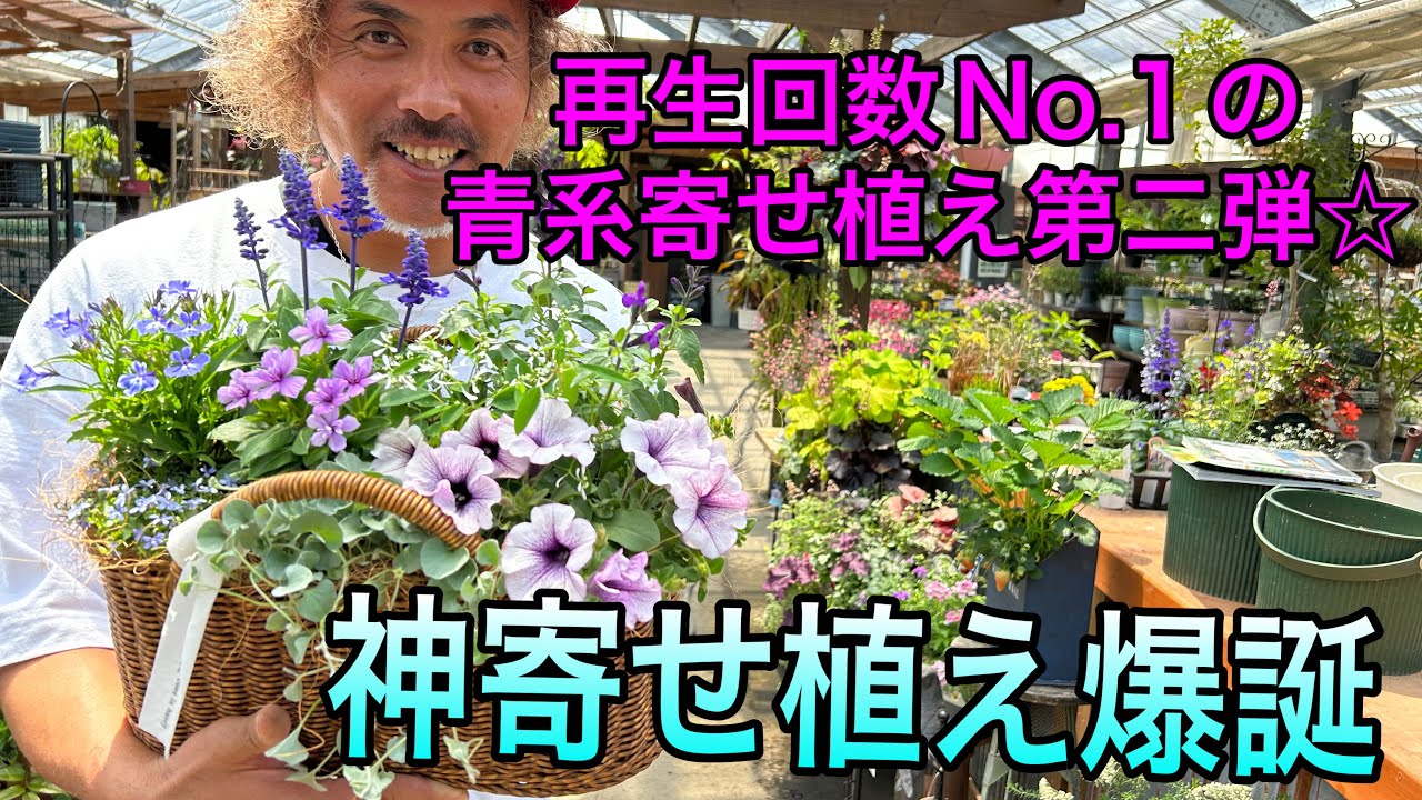 【寄せ植え】やっぱり青が好き！１番人気のブルー寄せ植えで季節先取り☆