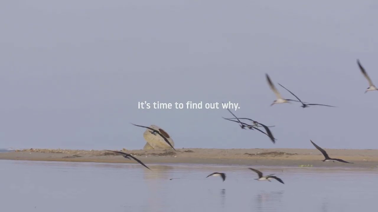 Birds definitely know something we don&rsquo;t 🦅