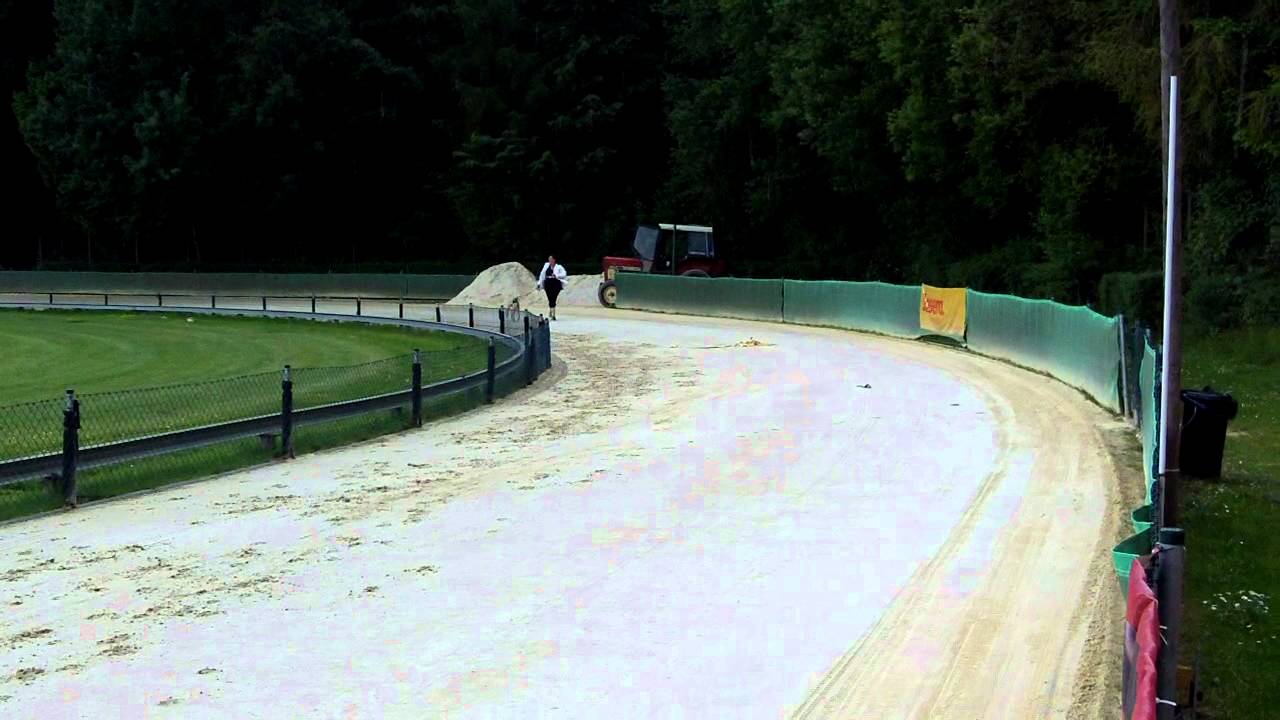 Galga Shari - Trainingslauf Windhund Arena Hünstetten