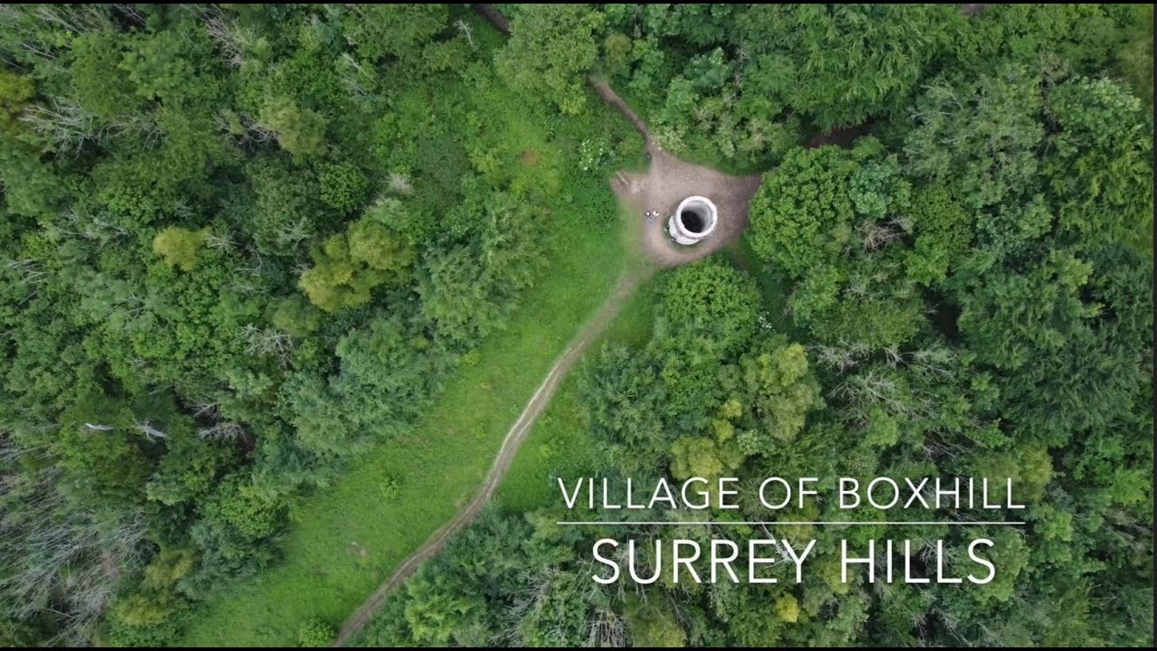 Box Hill | Surrey | United Kingdom (4K)