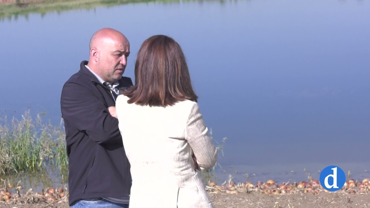 Los efectos de la DANA en Cabañas de la Sagra. Los agricultores muestran su desolación