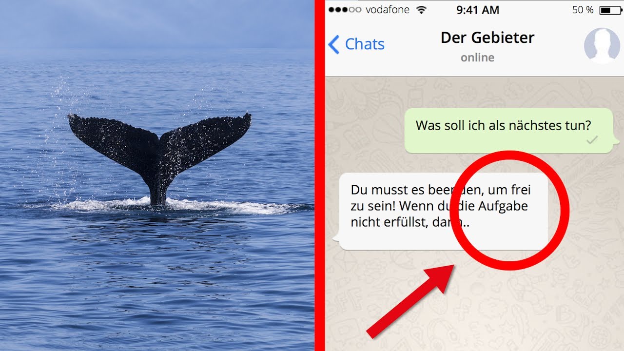 Blue Whale Challenge (Ein tödliches Spiel)