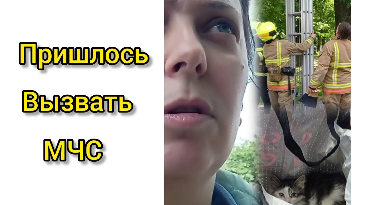 ТАКОГО НИКТО НЕ ОЖИДАЛ 😱🧑🏼‍🚒
