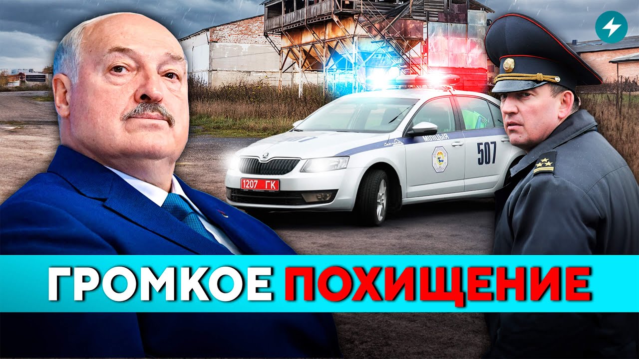 Схема шокировала всех! В деле замешан директор сельхозпредприятия. Убытки огромные // Новости