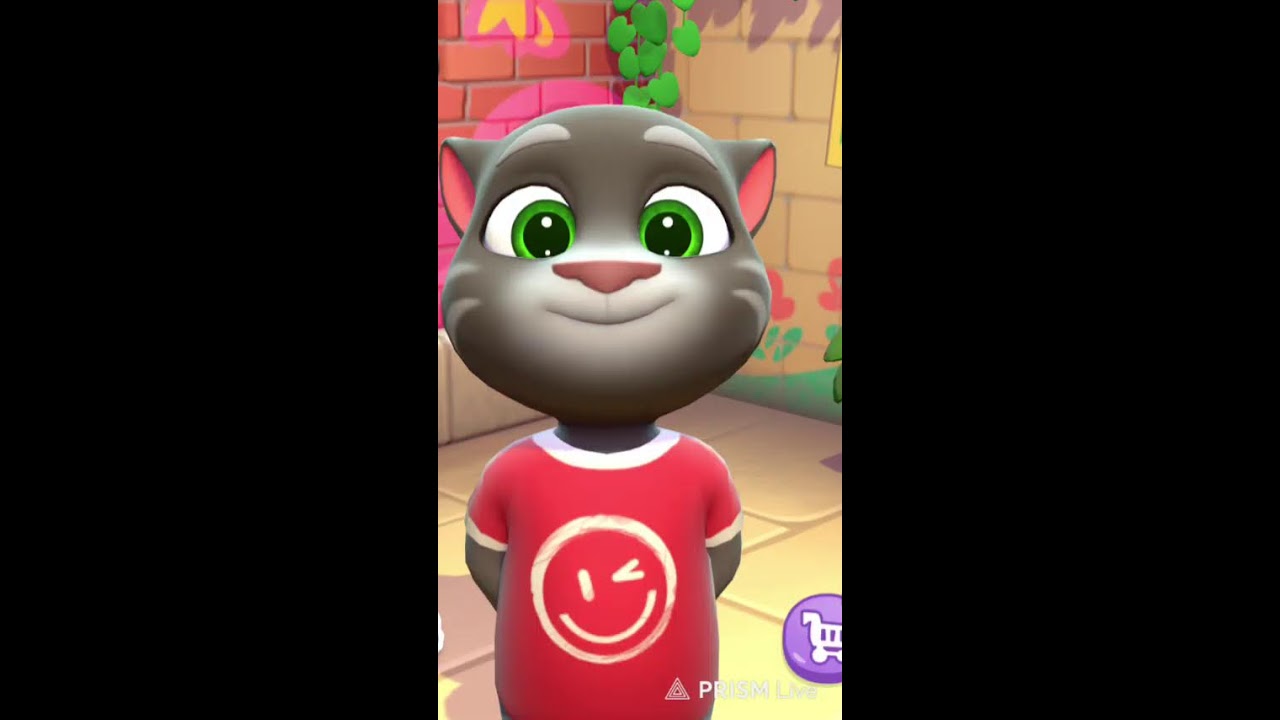 talking tom cat  #funny