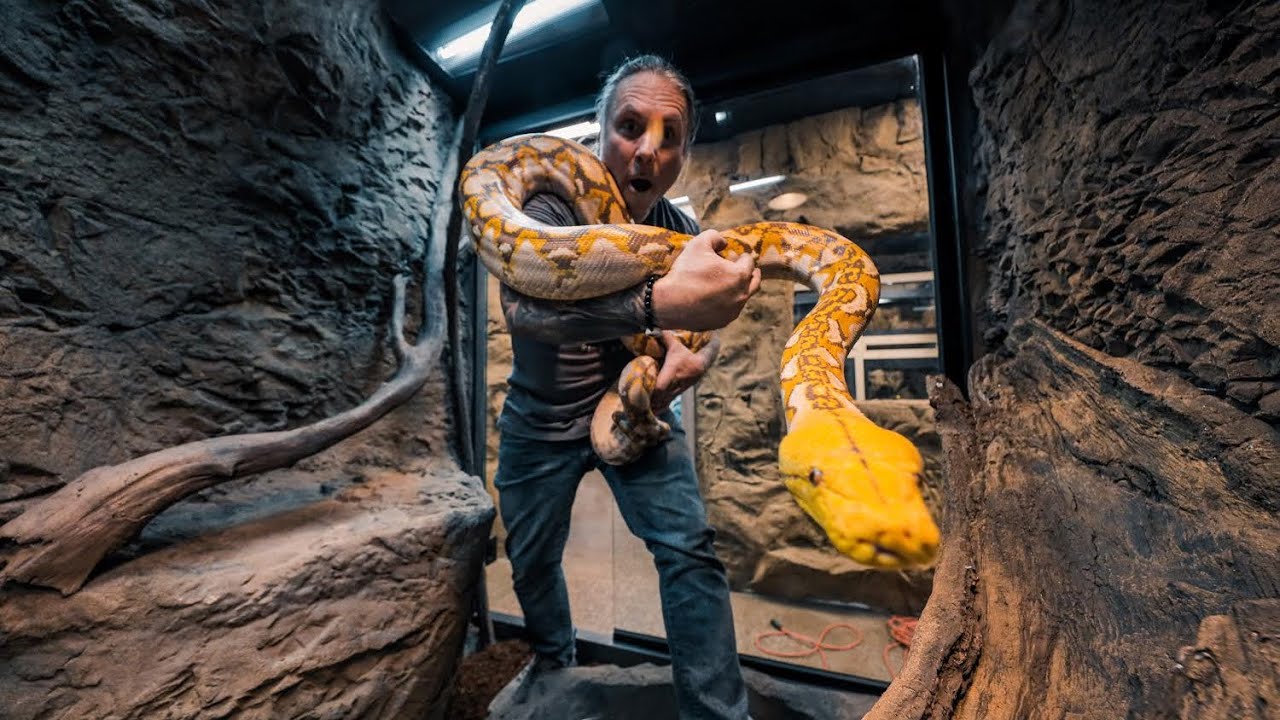 PUTTING THE FIRST GIANT SNAKE INTO THE NEW REPTILE ZOO!!  Build day #7 | BRIAN BARCZYK