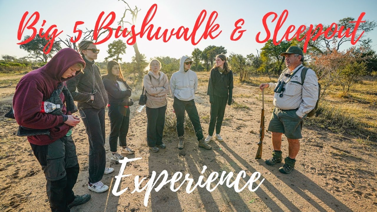 1 Star accommodation and experience in Greater Kruger National Park