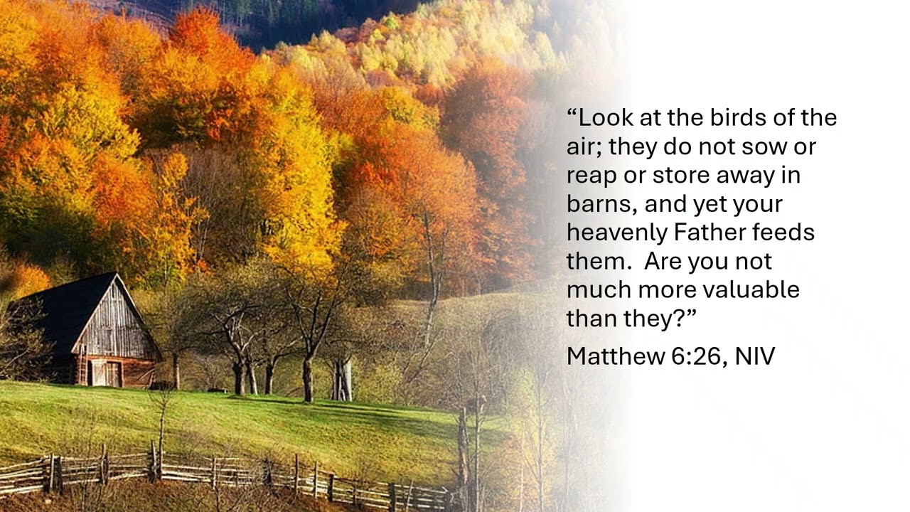 Autumn: God's Coloring Book!