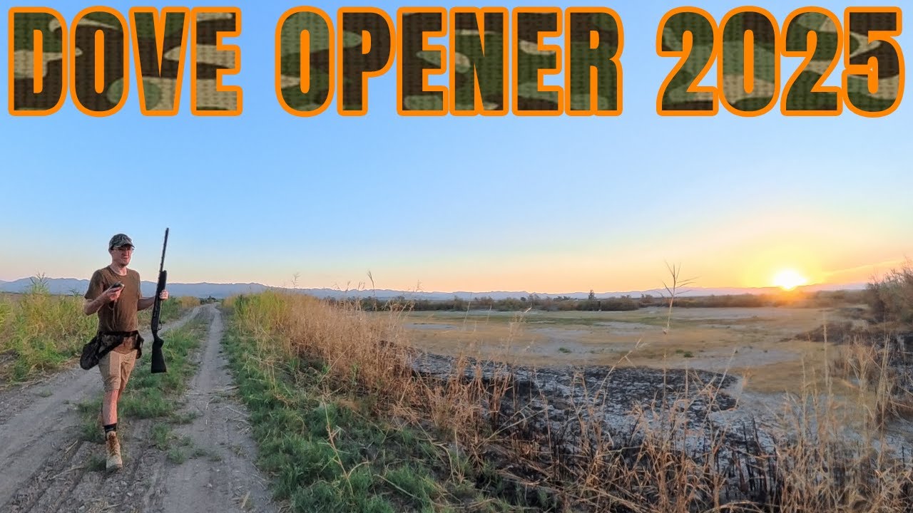 Dove Hunting Opening Day 2025 Salton Sea, California