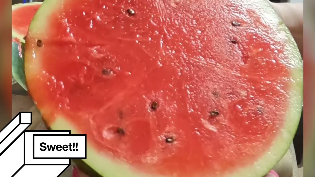 How to pick a perfectly sweet watermelon By Sandy G's Kitchen