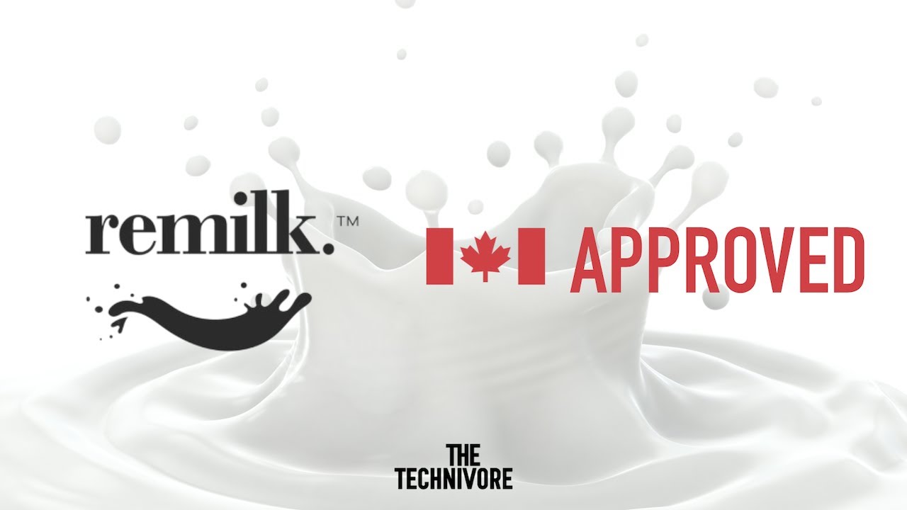 First Precision Fermentation Dairy Protein Approved in Canada