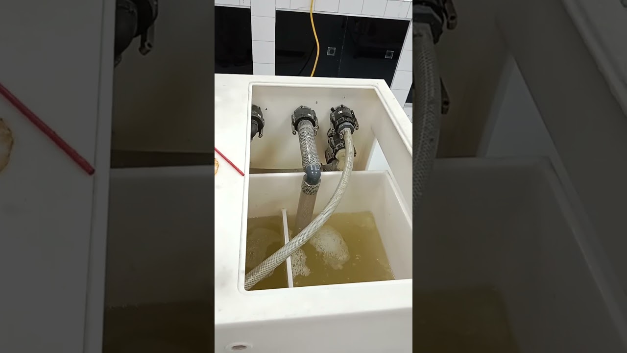 paper conservation, magic of leaf casting